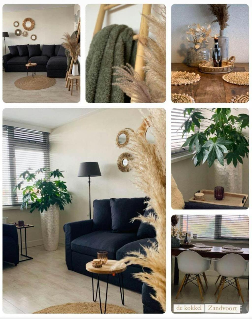 Appartement De Kokkel Free Parking Zandvoort Exteriér fotografie